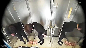 japanese,amateur,asian