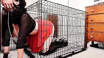 hooters,big-ass,fantasy,anal,knockers