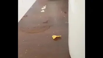 family-taboo,borracha,sobrina,prima,perfect-body