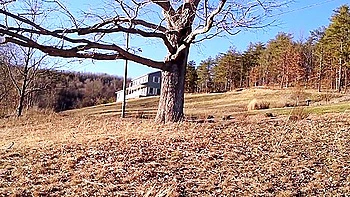 ebony,black,throat,teens,nature