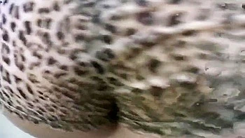 juggs,handjob,huge-tits,interracial,tugjob