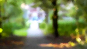 public,french,young-18,brunette,public-sex