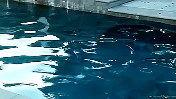 pussy-eating,red-head,muff-diving,brunette,hd