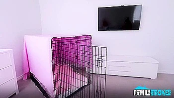 hd,pov,dick,fantasy,booty-shake