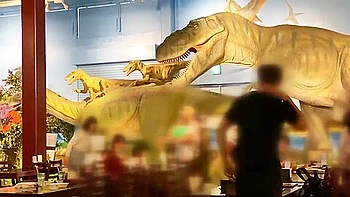 japanese,hd,censored