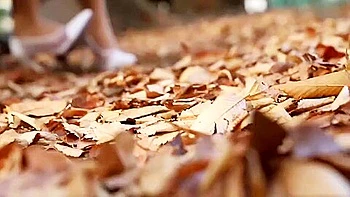 censored,hd,japanese