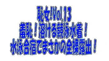 japanese,compilation,censored,dildos-toys,fingering