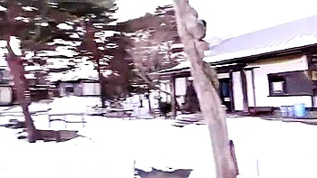 japanese,cunnilingus,couple,censored,outdoor