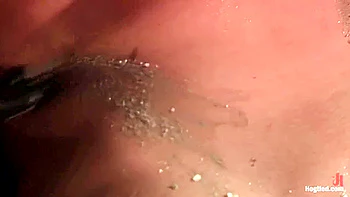 shibari-bondage,busty,outdoor,hard-fuck,blonde