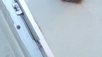 female-orgasm,compilation,asian