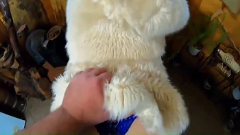 pov,busty,juggs,knockers,hd