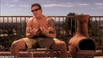 pornstar,big-tits,brunette