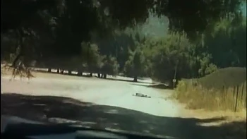 retro,milf,dyke,pussy-eating,lesbian-milf