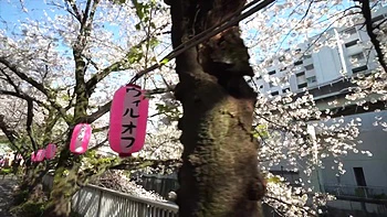 amateur,lingerie,milf