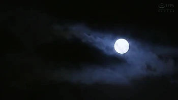 compilation,female-orgasm,asian