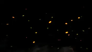 ass-worship,pov-ass-worship,pov-spit,pov-spitting,spitting-femdom