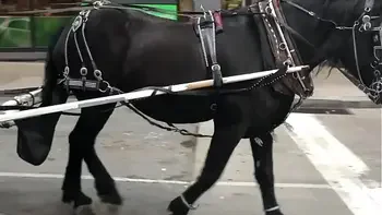 squirting,natural-tits,fat-pussy,milf,fetish