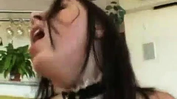 hardcore,cowgirl,tits,blowjobs,doggy-style