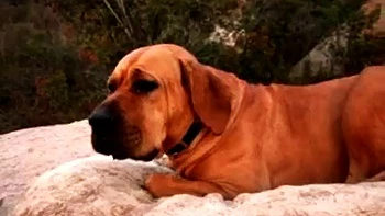 anal,missionary,cowgirl,milf,peeing