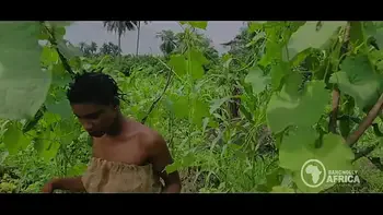 teens,bangnolly-africa,teenie,pussy,ebony