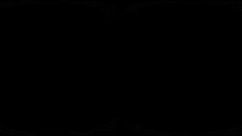 blowjobs,reality,anal,3d,cowgirl