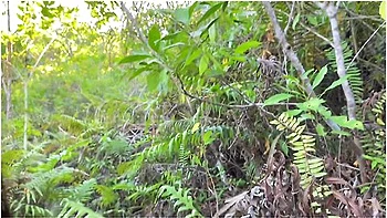 pinay-girlfriend,teens,iyot,jav,blowjob