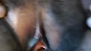 busty-amateur,huge-tits,desi-amateur,hd,hooters