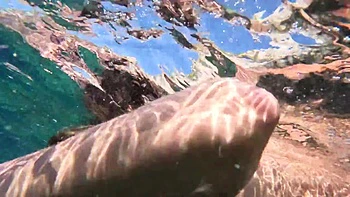 fetish,pissing,deepthroat,facial,public