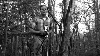 babes,amateur,compilation