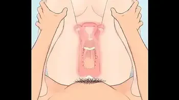 engravidar,crempie,engravidando,impregnation,ovulating