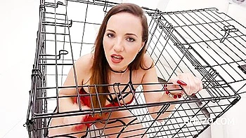 dp,group-orgy,cage,anal-dp,peeing