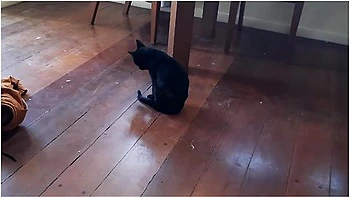 big-natural-tits,blowjob,toys,bdsm,verified-amateurs