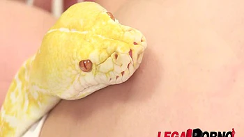 interracial,hardcore,big-ass,gangbang,french