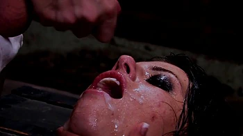 hardcore,facial,pornstars,pussy,bukkake