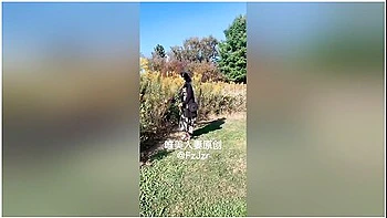 amateur,asian,milf,reality,solo-female