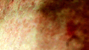 hairy,pov,big-cocks,hd,hardcore