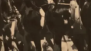 zoological,vintage,hairy,hairy-pussy,natural-tits