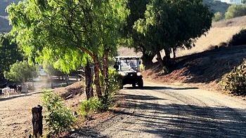 4k,hardcore,hd,blonde,doggystyle