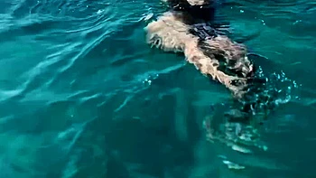 masturbation,teen,pov,blowjob,doggystyle