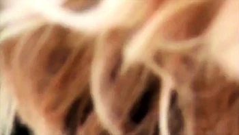 femdom,fetish,amateur,foot-fetish