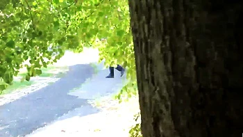 amateur,milf,blonde,hardcore,european