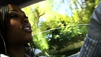 brunette,babe,big-cocks,blowjob,hardcore