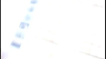 blowjob,european,german,amateur,close-up