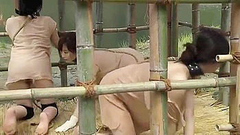 young-18,creampie,cum-inside,japanese-creampie,asian