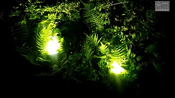 huge-tits,japanese,asian,japanese-hd,boobs