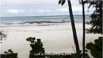 vlog,big-dick,asian,hd,cumshot