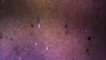 dildo,solo-male,transgender,solo,petite