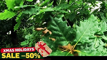 cuckold-watching,in-front-of,pov,hd,europe