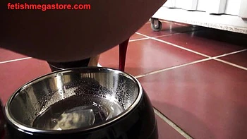 bondage,pissing,golden-shower,amateur,natural-body