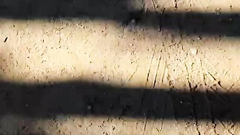 ballsucking,cum-on-tits,side-fuck,vertical,reverse-cowgirl